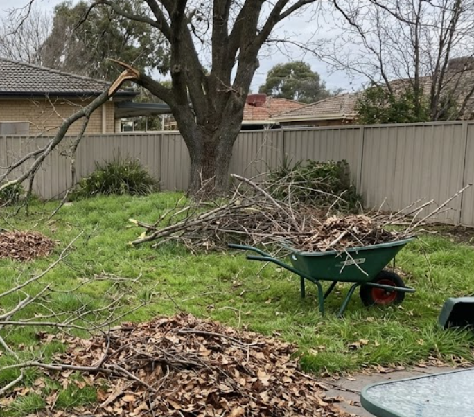 yard cleanup services troy michigan